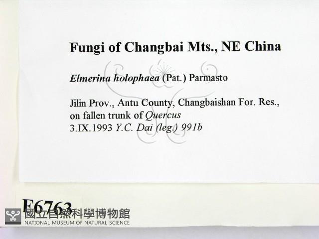 登錄號:F0006763藏品圖，第2張