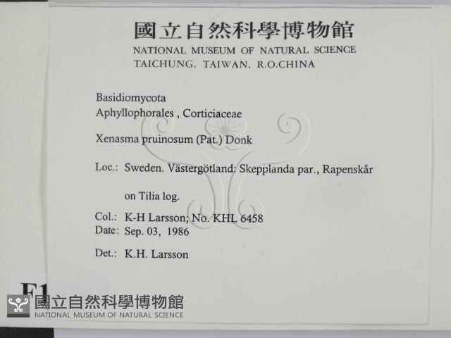 登錄號:F0016763藏品圖，第2張