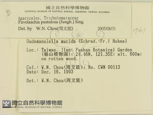 登錄號:F0001763藏品圖，第2張