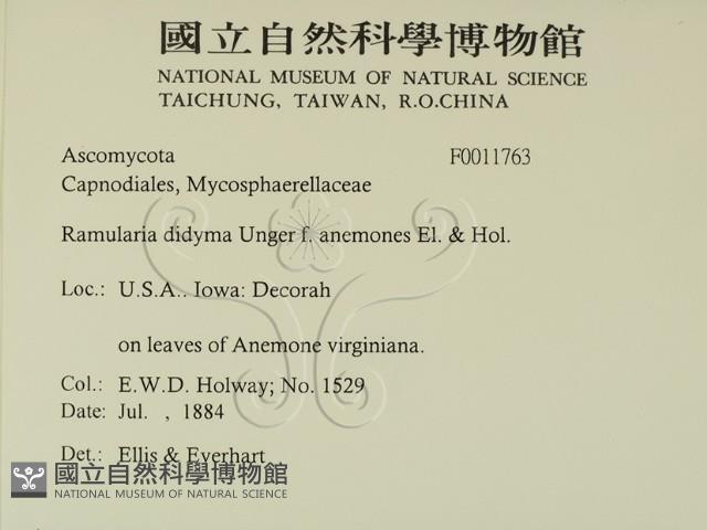 登錄號:F0011763藏品圖，第2張