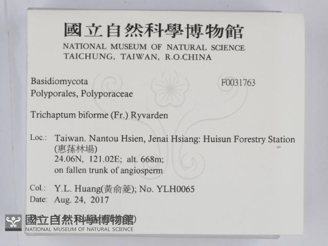 登錄號:F0031763藏品圖，第2張