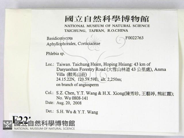 射脈菌屬藏品圖，第2張