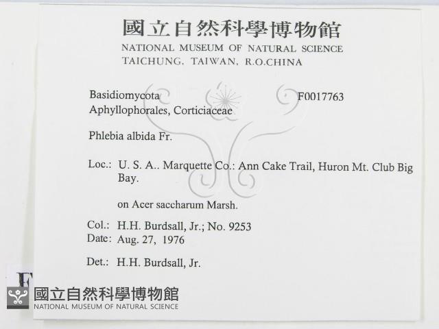 登錄號:F0017763藏品圖，第2張