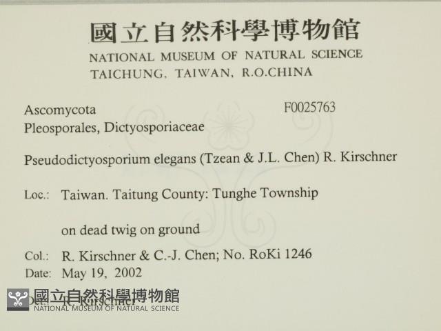 登錄號:F0025763藏品圖，第2張