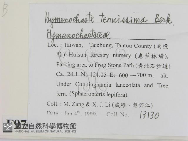 登錄號:F0009763藏品圖，第2張