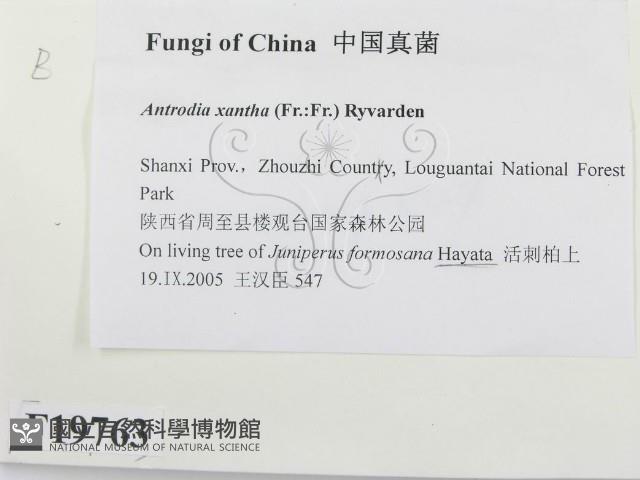 登錄號:F0019763藏品圖，第2張