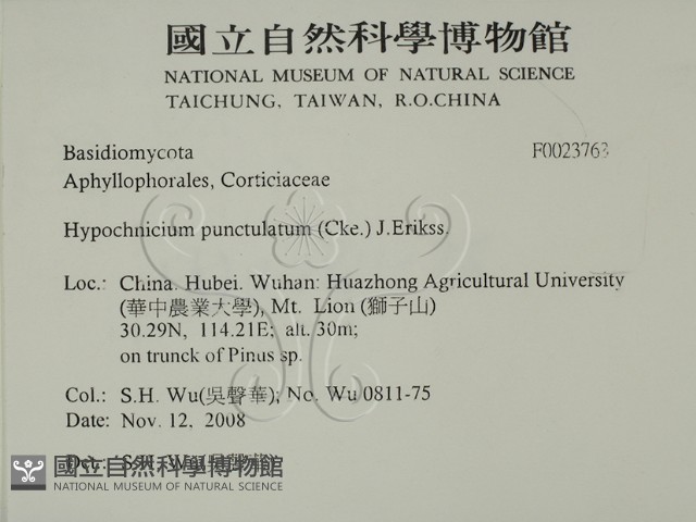 登錄號:F0023763藏品圖，第2張