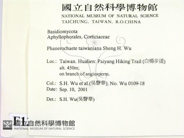 登錄號:F0013763藏品圖，第2張