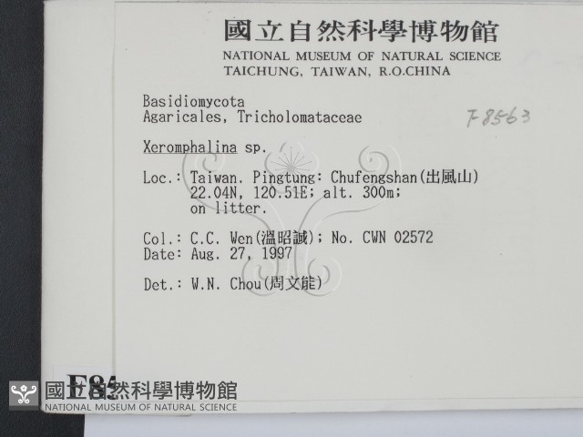 登錄號:F0008563藏品圖，第2張