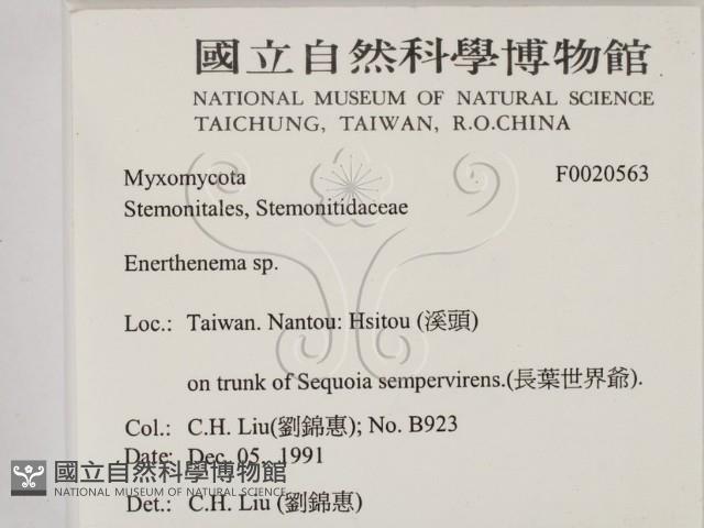 登錄號:F0020563藏品圖，第2張
