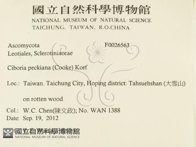 登錄號:F0026563藏品圖，第2張