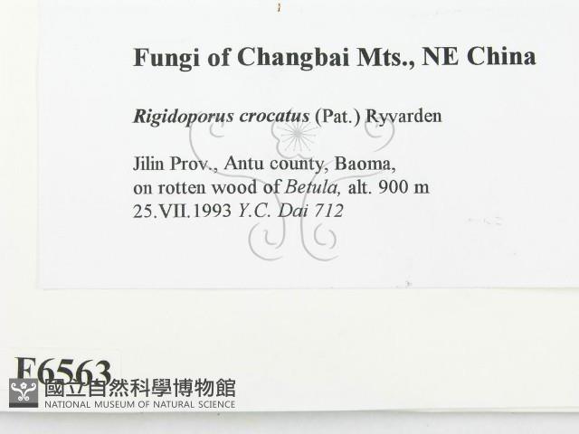 登錄號:F0006563藏品圖，第2張