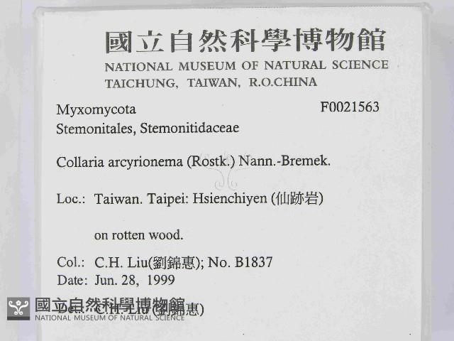 登錄號:F0021563藏品圖，第2張