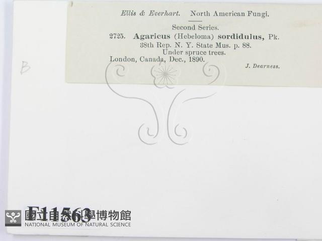 登錄號:F0011563藏品圖，第2張