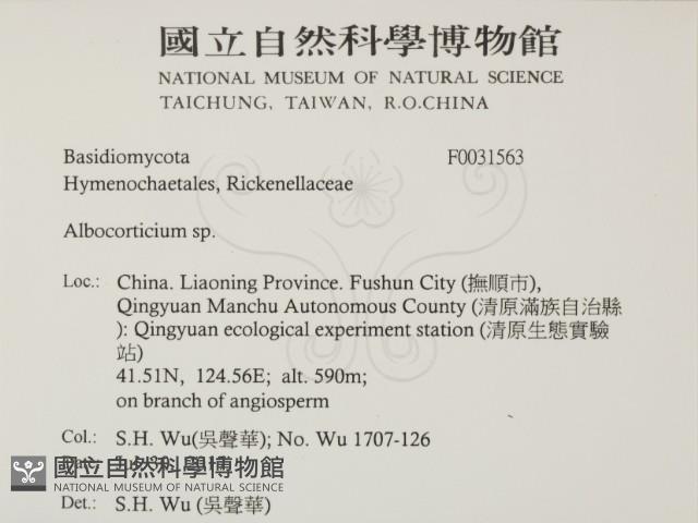 登錄號:F0031563藏品圖，第2張