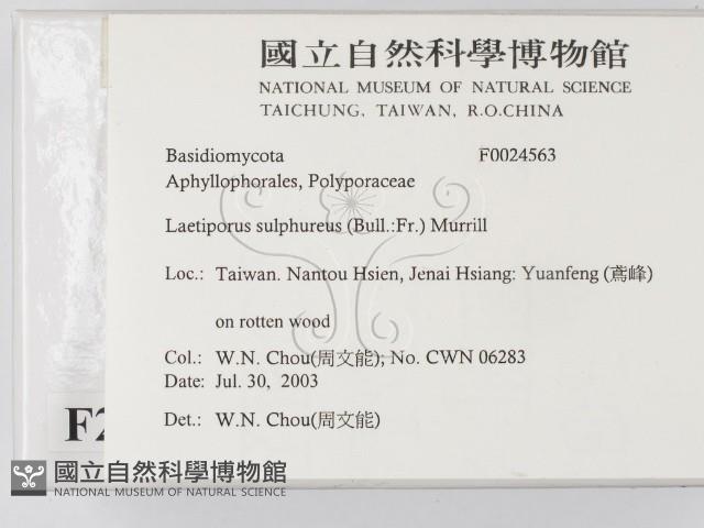 登錄號:F0024563藏品圖，第2張