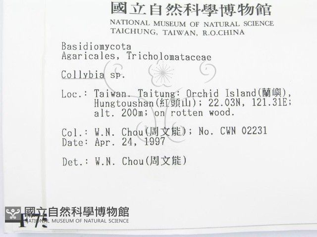 登錄號:F0007563藏品圖，第2張