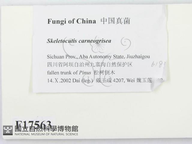 登錄號:F0017563藏品圖，第2張
