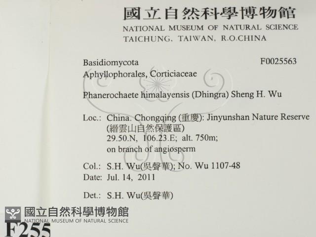 登錄號:F0025563藏品圖，第2張