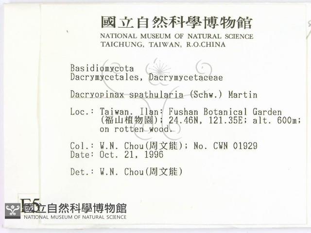 登錄號:F0005563藏品圖，第2張