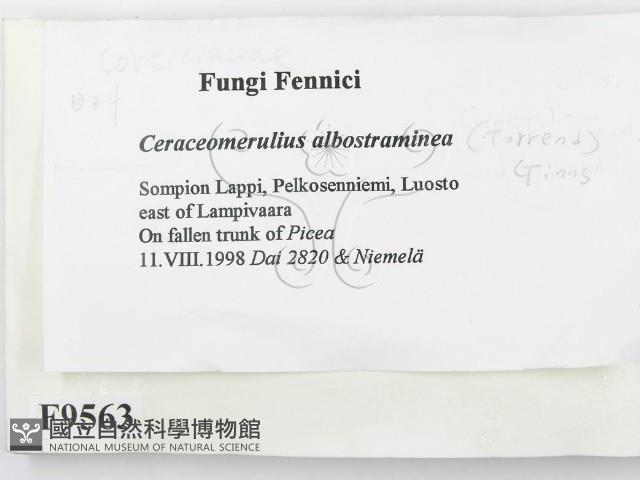 登錄號:F0009563藏品圖，第2張