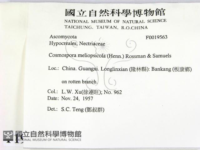 登錄號:F0019563藏品圖，第2張