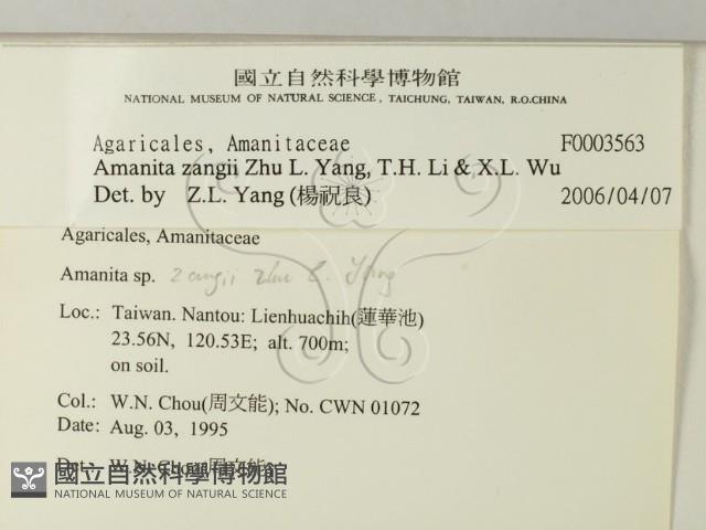 登錄號:F0003563藏品圖，第2張