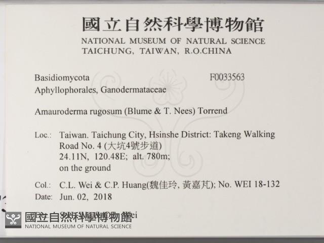 登錄號:F0033563藏品圖，第2張