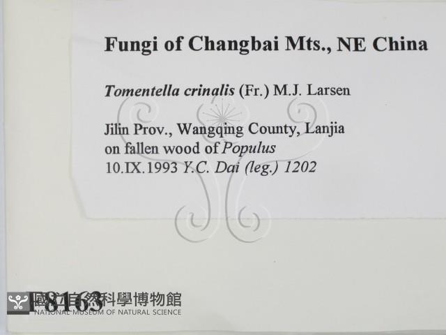 登錄號:F0008163藏品圖，第2張