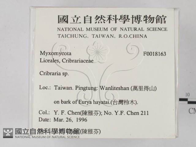 登錄號:F0018163藏品圖，第2張
