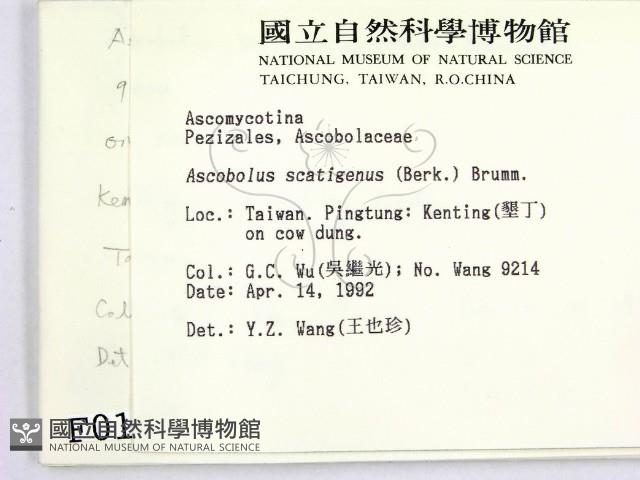 登錄號:F0000163藏品圖，第2張