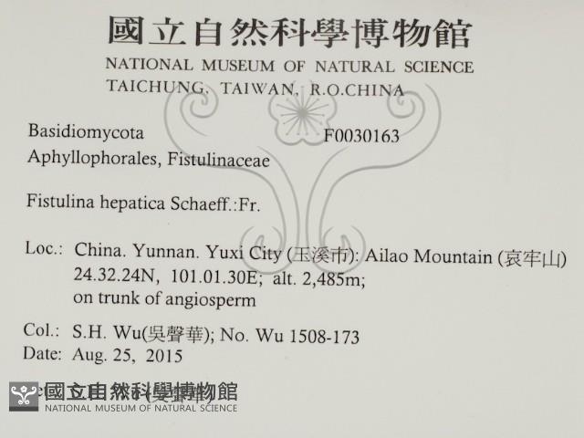 登錄號:F0030163藏品圖，第2張