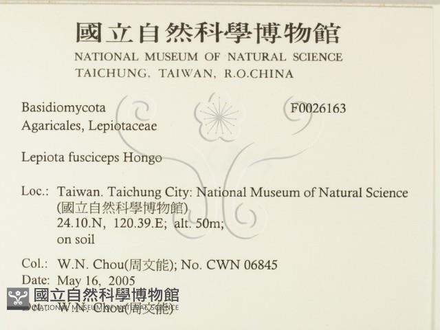 登錄號:F0026163藏品圖，第2張