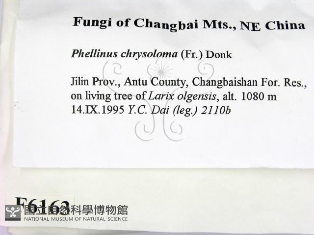 登錄號:F0006163藏品圖，第2張