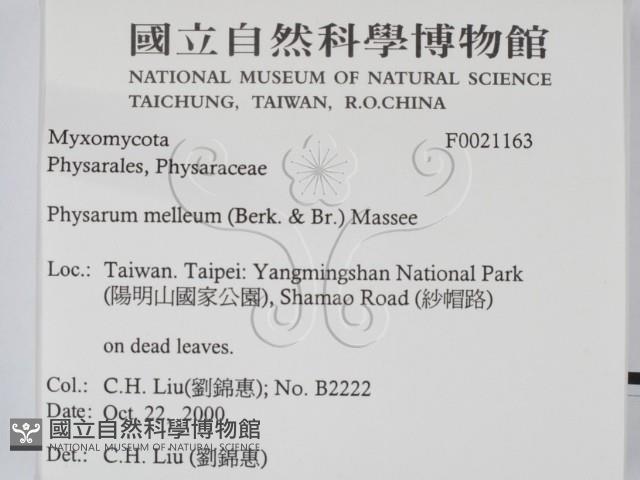 登錄號:F0021163藏品圖，第2張