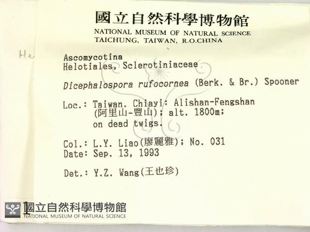 登錄號:F0001163藏品圖，第2張