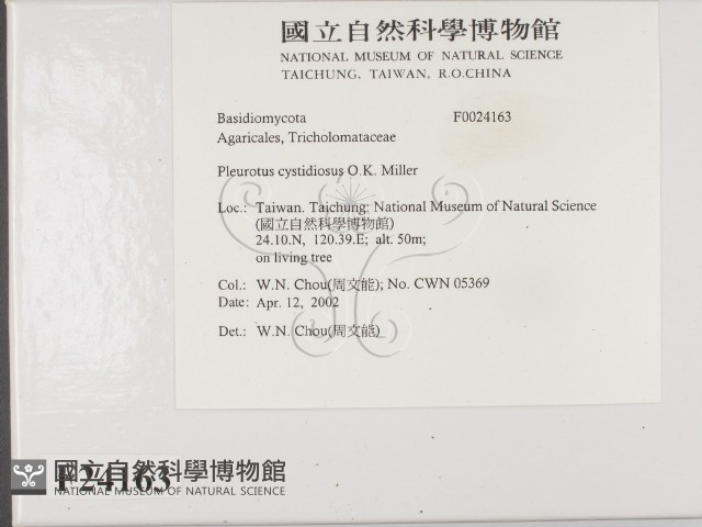 登錄號:F0024163藏品圖，第2張