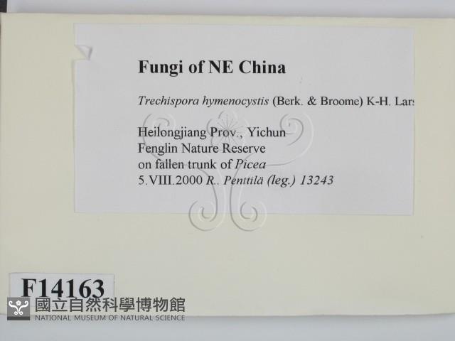 登錄號:F0014163藏品圖，第2張