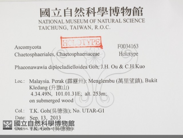 登錄號:F0034163藏品圖，第2張