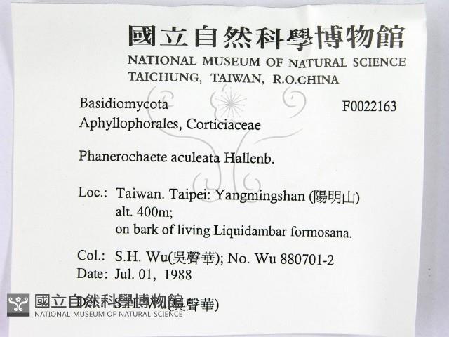 登錄號:F0022163藏品圖，第2張