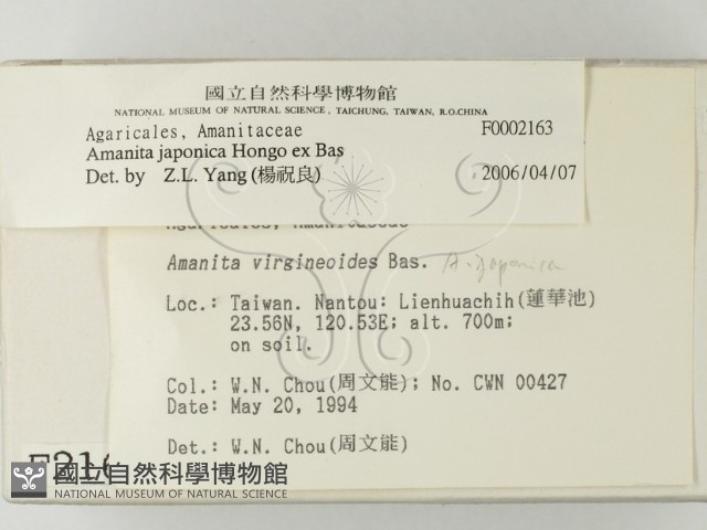 登錄號:F0002163藏品圖，第2張