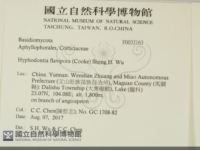 登錄號:F0032163藏品圖，第2張