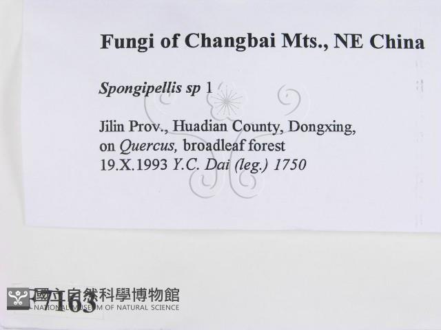 登錄號:F0007163藏品圖，第2張