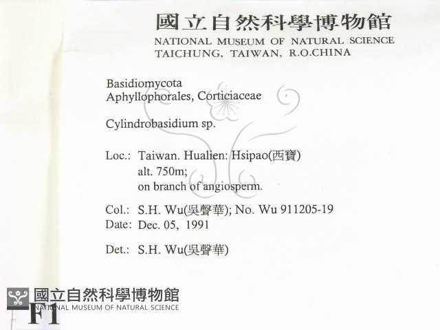 柱擔菌屬藏品圖，第2張