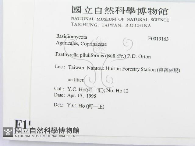 登錄號:F0019163藏品圖，第2張