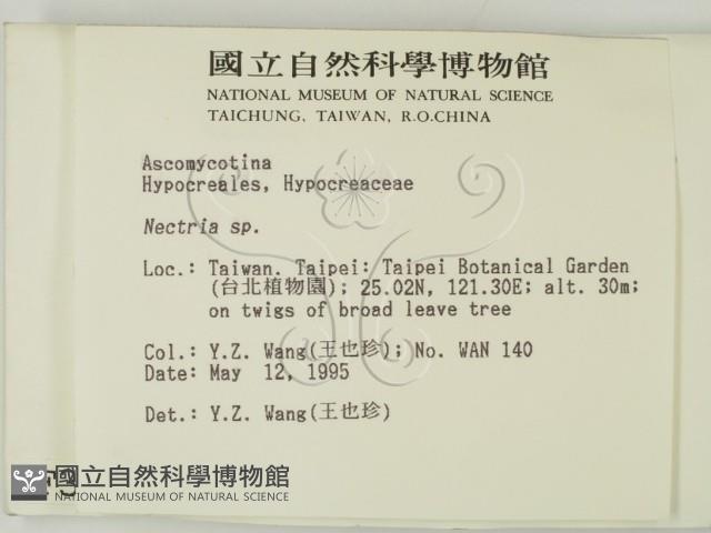 登錄號:F0003163藏品圖，第2張