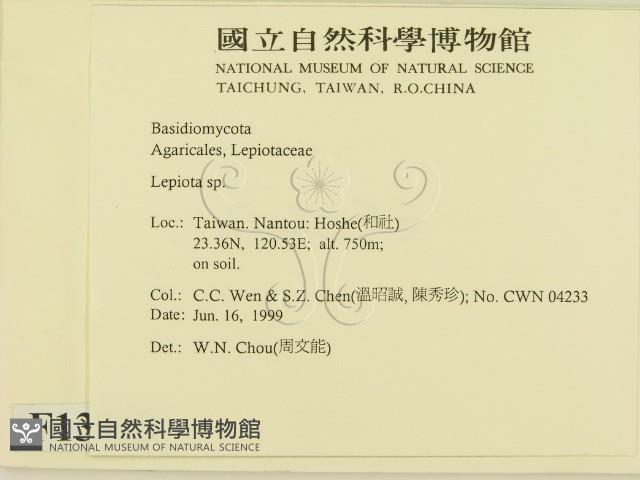 登錄號:F0013163藏品圖，第2張