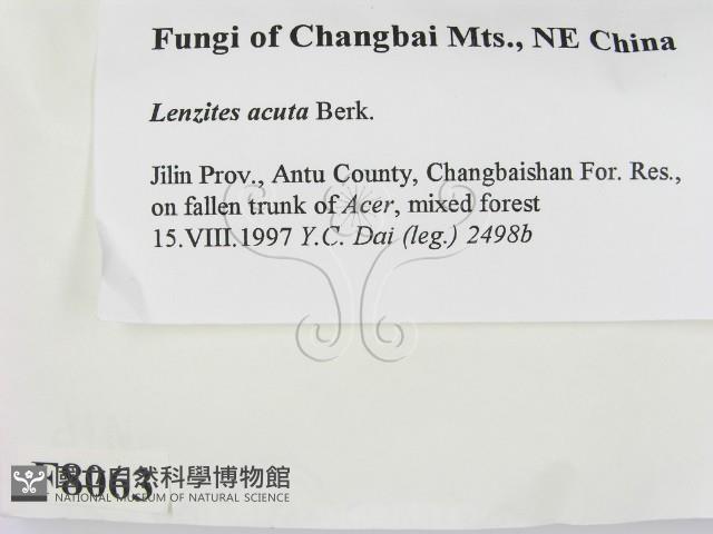 登錄號:F0008063藏品圖，第2張