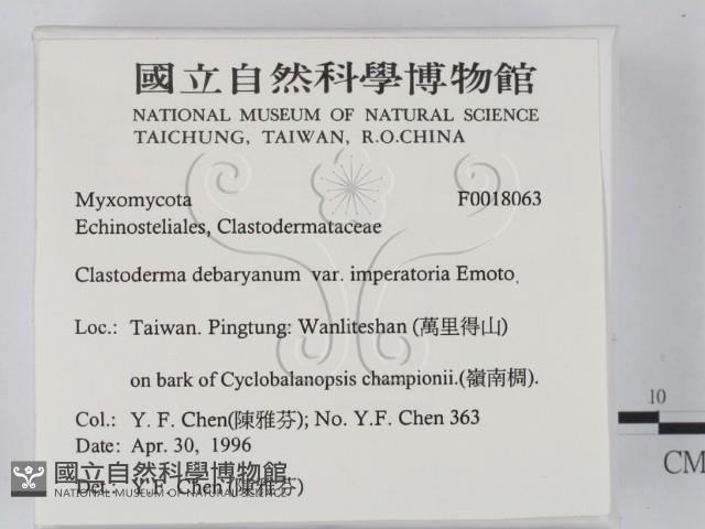 登錄號:F0018063藏品圖，第2張