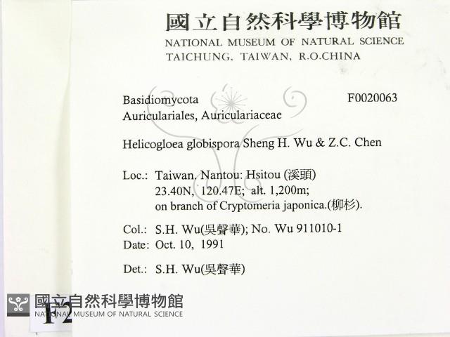 登錄號:F0020063藏品圖，第2張